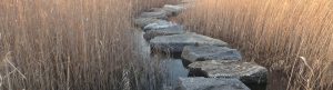 stepping stones